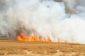 Flames Burning wheat stubble field