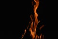 Flames from a Campfire in the Dark Night Royalty Free Stock Photo