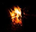 Flames of a campfire in the night Royalty Free Stock Photo