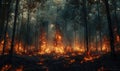 Flames engulfing trees in a forest, the fire spreading rapidly through the dry underbrush Royalty Free Stock Photo