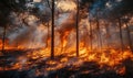 Flames engulfing trees in a forest, the fire spreading rapidly through the dry underbrush Royalty Free Stock Photo