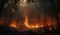 Flames engulfing trees in a forest, the fire spreading rapidly through the dry underbrush Royalty Free Stock Photo