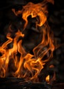 Flames from the fire Royalty Free Stock Photo