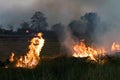 Flames on a grass mound.