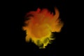 Flames in the Night Sky - Fireball