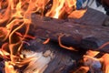 Flames orange bright colorful on a background of firewood closeup base design camping cooking grill
