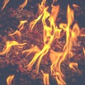 Flames in Fire Pit at Night Royalty Free Stock Photo