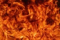 Flames red fire natural background. Beautiful dangerous firestorm abstract texture Royalty Free Stock Photo