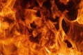 Flames red fire natural texture. Beautiful dangerous firestorm abstract background Royalty Free Stock Photo