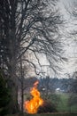 flames with smoke, burning tree waste at countryside Royalty Free Stock Photo