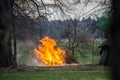 flames with smoke, burning tree waste at countryside Royalty Free Stock Photo