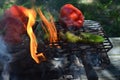 Flames smoke peppers on hibachi grill outdoors Royalty Free Stock Photo