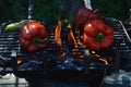 Flames smoke peppers on hibachi grill outdoors Royalty Free Stock Photo