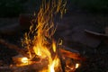 Flames and sparkles from campfire at night. Burning logs of wood and sticks Royalty Free Stock Photo