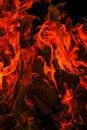 flames wallpaper. Variegated flames and colorful sparks.Multicolored flame.Firewood burning in bonfire.Burning bonfire