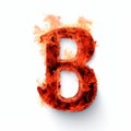 Flaming B: Explosive Pigmentation And Realistic Detail By Bayard Wu