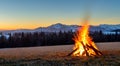 burning campfire in the middle of a meadow