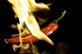 Flaming chilli