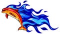 Flaming dolphin vector illustration design art graphic