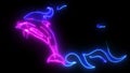 Flaming dolphin video design art graphic