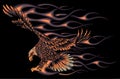 Flaming Eagle on black background vector illustration Royalty Free Stock Photo