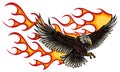 Flaming Eagle - vehicle graphic. Ready for vinyl cutting. .
