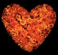 Flaming Heart