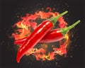 Flaming hot chili pepper image. Vector illustration