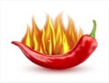 Flaming hot chili pepper image. Vector illustration