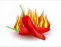 Flaming hot chili pepper image. Vector illustration