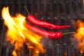 Flaming hot chilli peppers on bbq grill