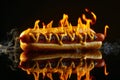Flaming hot dog on fire Royalty Free Stock Photo