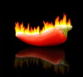 Flaming Hot Pepper Royalty Free Stock Photo