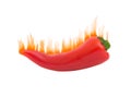 Flaming Hot Pepper, Isolated Royalty Free Stock Photo
