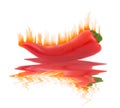 Flaming Hot Pepper on White