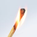 Flaming match stick burning in the middle of a white isolated background Royalty Free Stock Photo