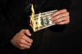Flaming money Royalty Free Stock Photo