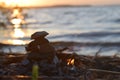 Flaming rock on the shore of the pond