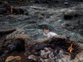 Flaming rock Yanartas, Chimera fires in eveninng, Antalya, Turkey