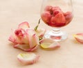 Flaming Strawberry and ailing rose Royalty Free Stock Photo