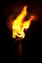 Flaming torch Royalty Free Stock Photo