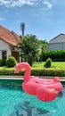 Flaminggo