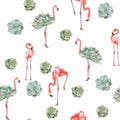 Colorful floral pattern with flamingo and exotic succulent illustration.