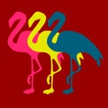 Three colorful flamingos in row.