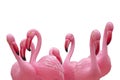 Flamingo Background Isolated. Close-up Of A Group Of Pink Plastic Flamingos With Selective Focus Isolated On A White Background.