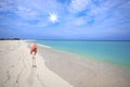 Flamingo at the beach Royalty Free Stock Photo