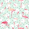 Flamingo Bird Background. Flamingo Feather Background Royalty Free Stock Photo