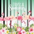 Flamingo Bird Background. Retro Pattern. Tropical Background Royalty Free Stock Photo
