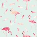 Flamingo Bird Background. Retro Seamless Pattern Royalty Free Stock Photo