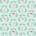 Flamingo Bird Background Royalty Free Stock Photo